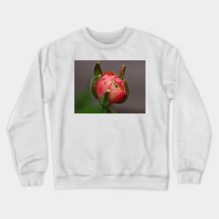 A pink bud Crewneck Sweatshirt